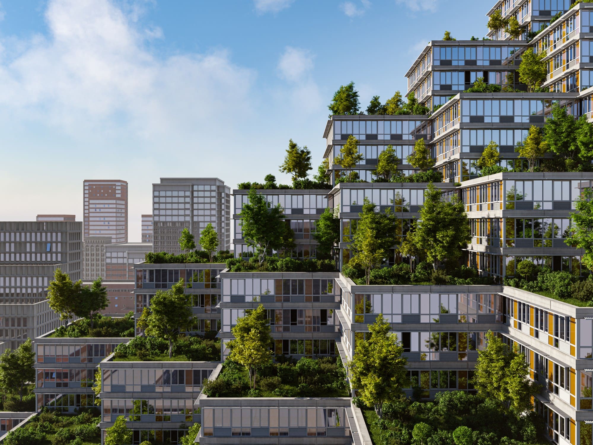 Illustration de logements éco responsable paysagé