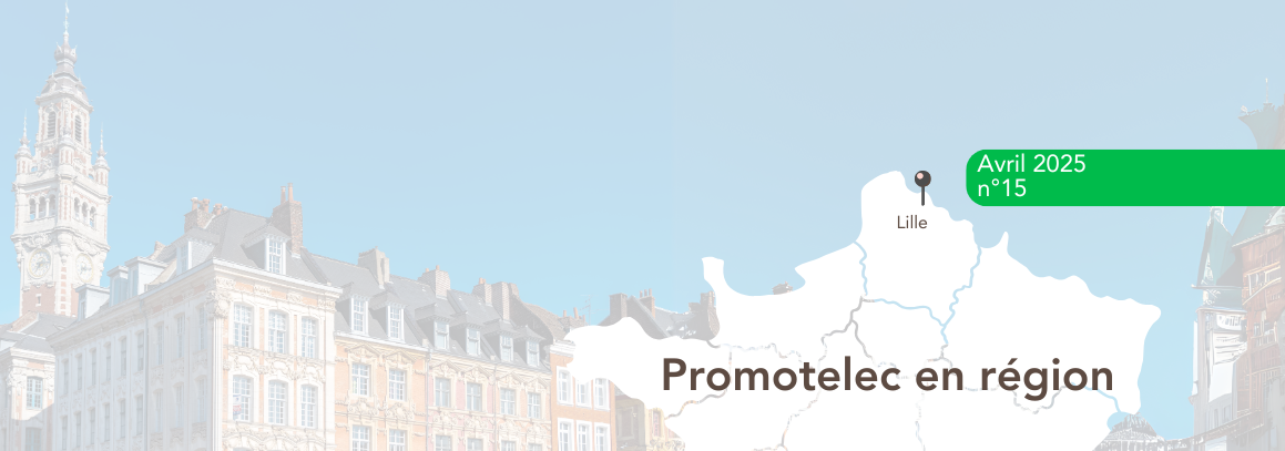 illustration promotelec en région
