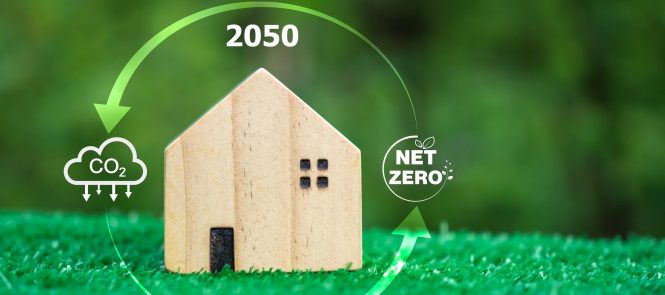 image représentant une maison en bois sur une pelouse